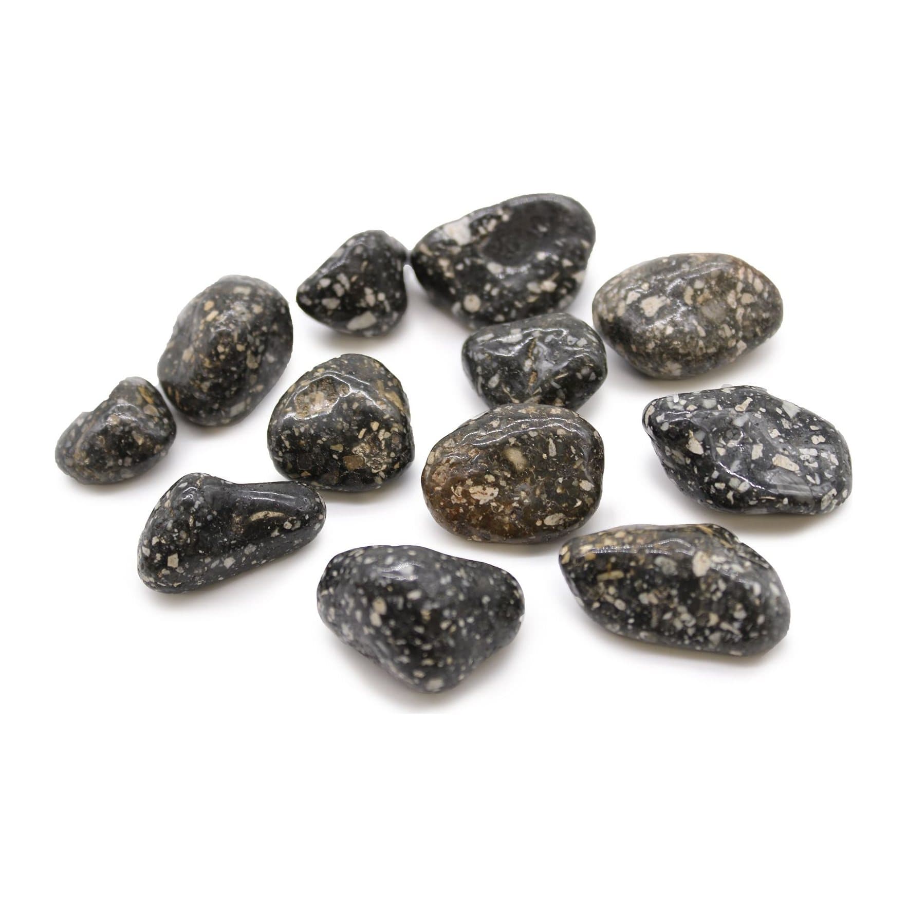 Black Guinea Fowl Jasper tumble stones with white spots