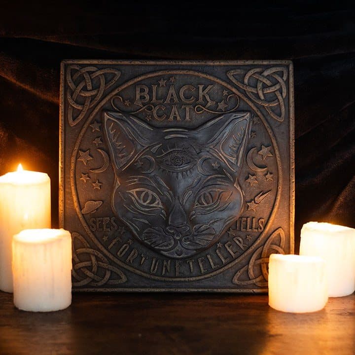 Black cat fortune teller sign with moon and star details