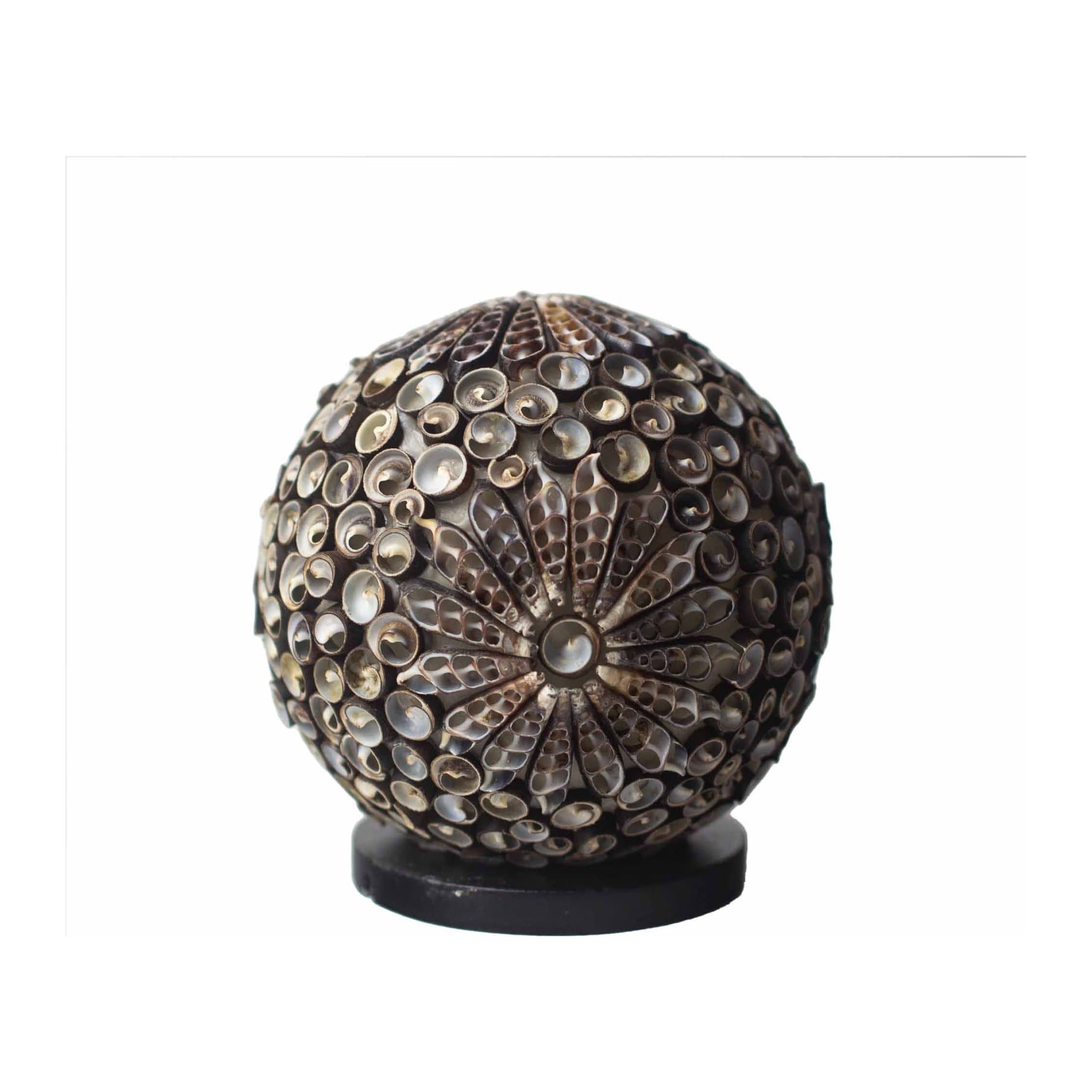 Boho sea shell lamp made of seashells in a chocolate twist design