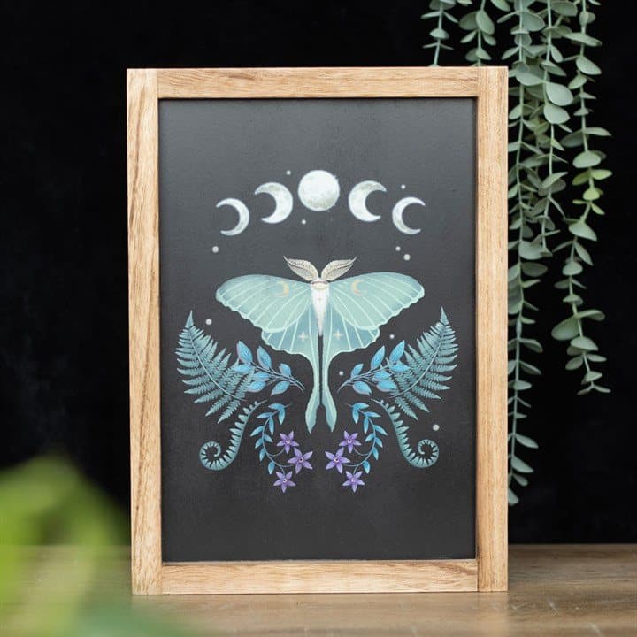 Wooden framed luna moth print with moon phases, flowers and stars