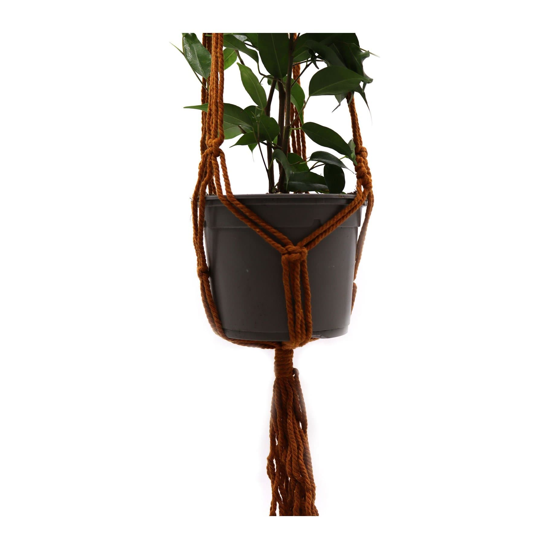 Classic macrame pot holder in a plant pot style
