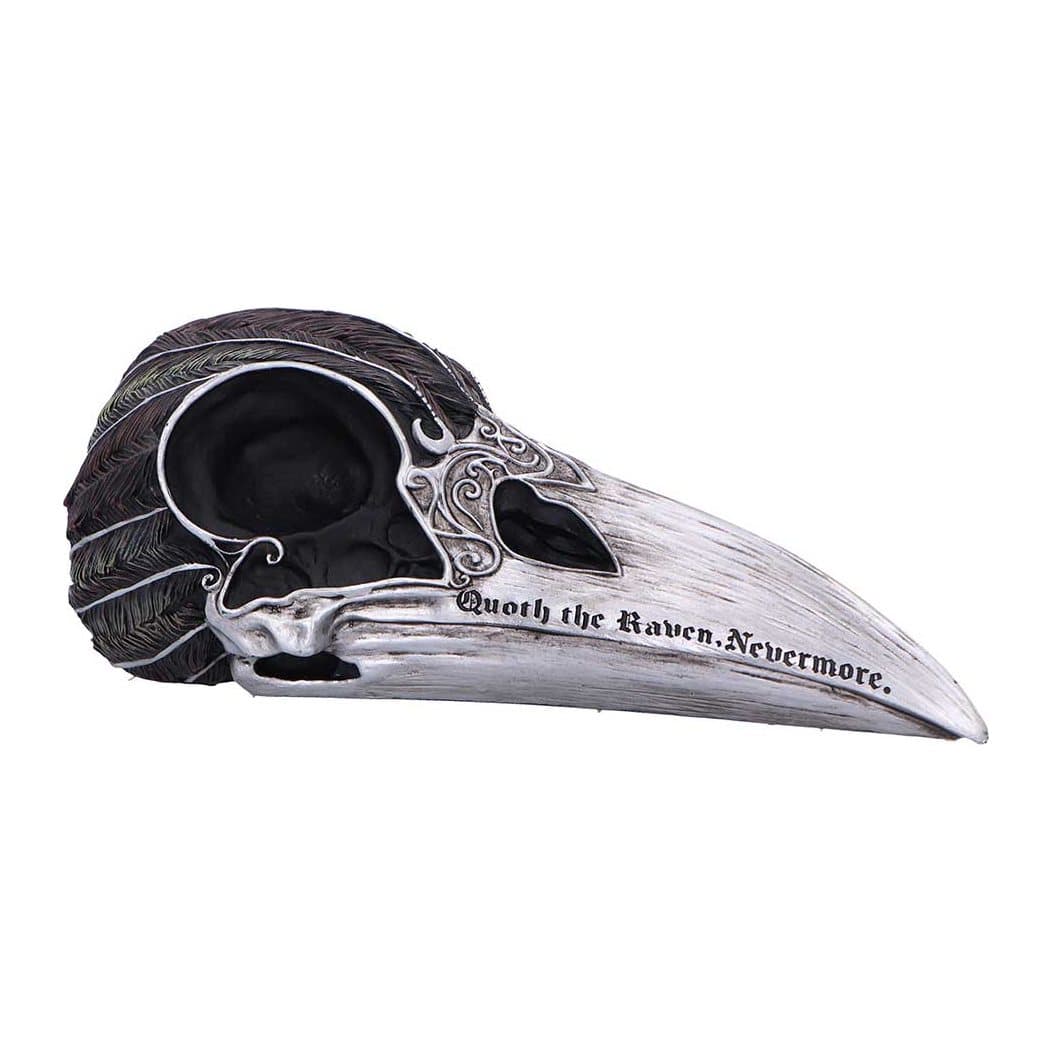 Matte black raven skull ornament with silver accents on the beak