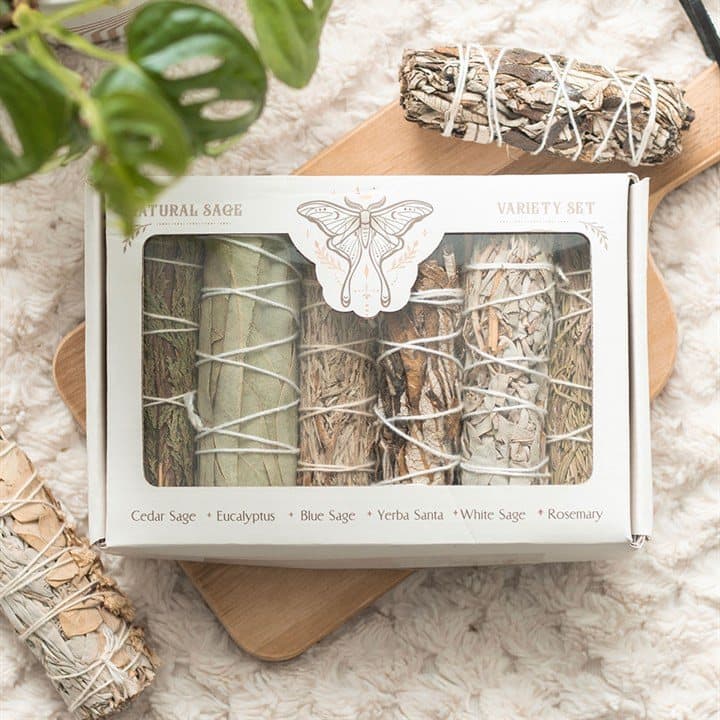 Sage bundle variety set in a colour cardboard box with a window