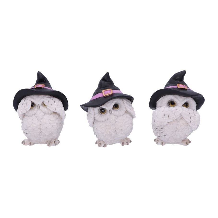 Three feathered familiars side by side, covering eyes, ears and mouth