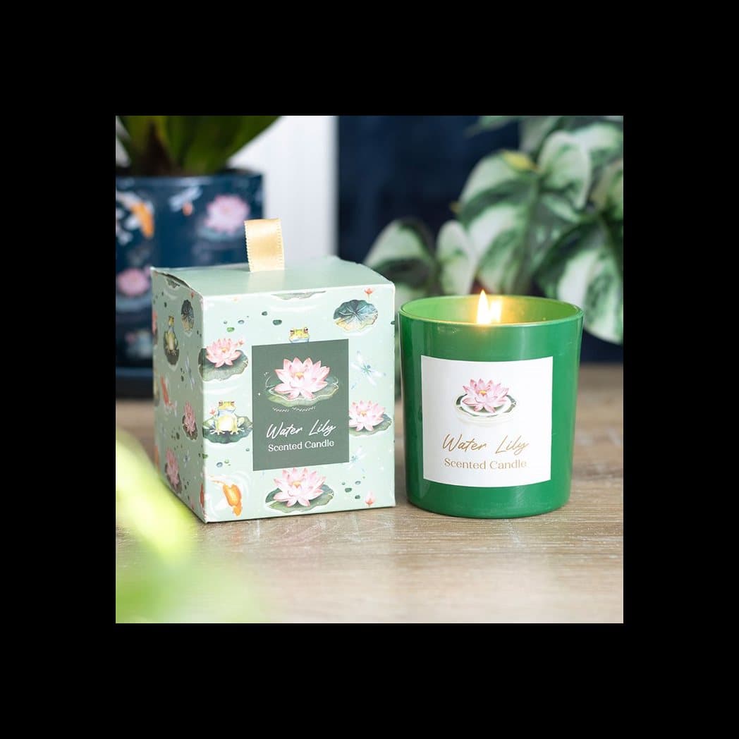 Water lily scented candle in a green glass holder with a lily pad and koi box
