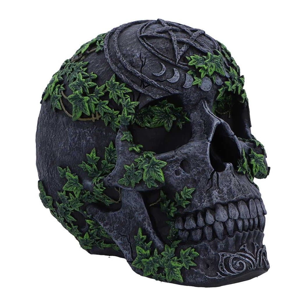 Black skull figurine with a pentagram on the forehead and vegetation