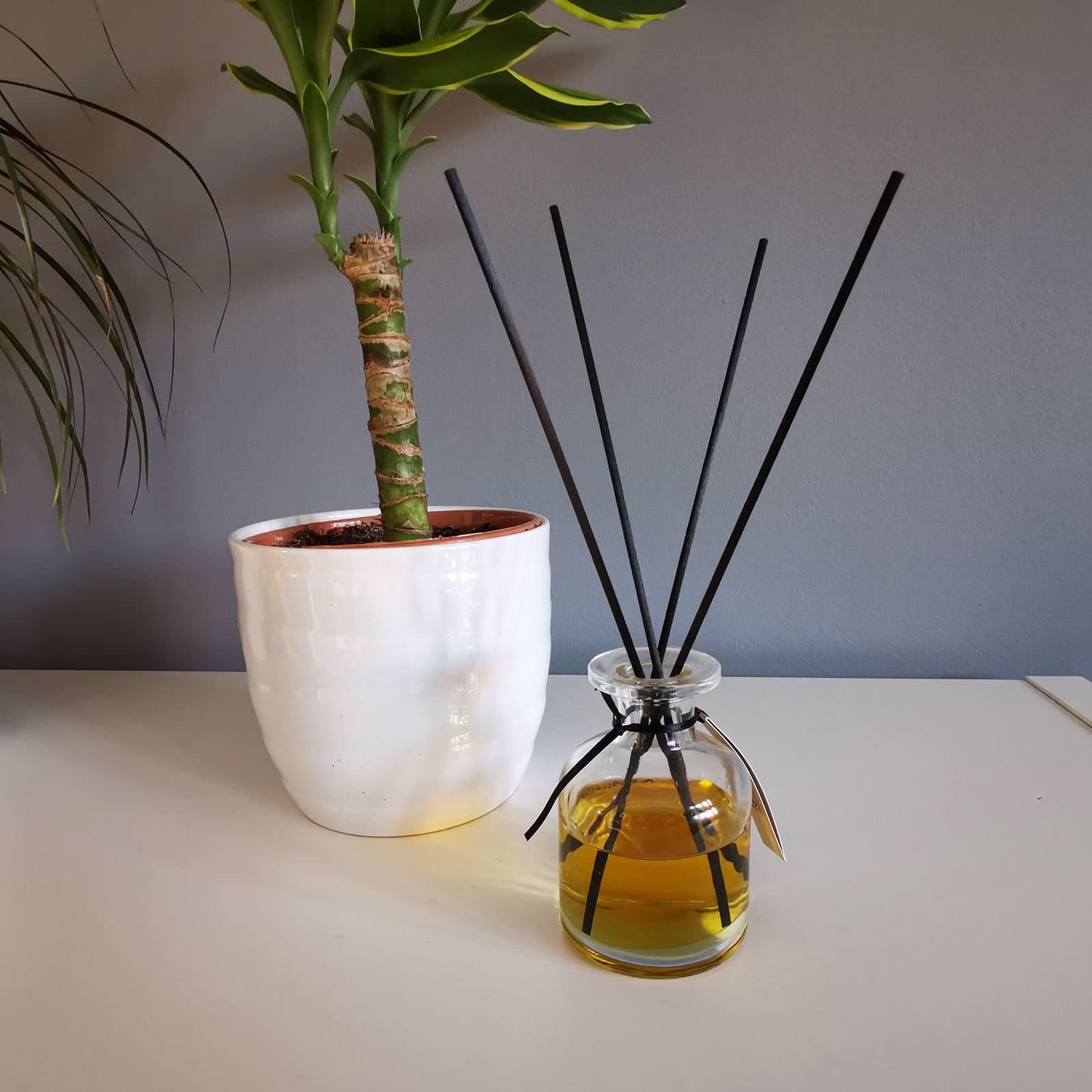 Black fibre reed diffuser sticks, 25 cm long