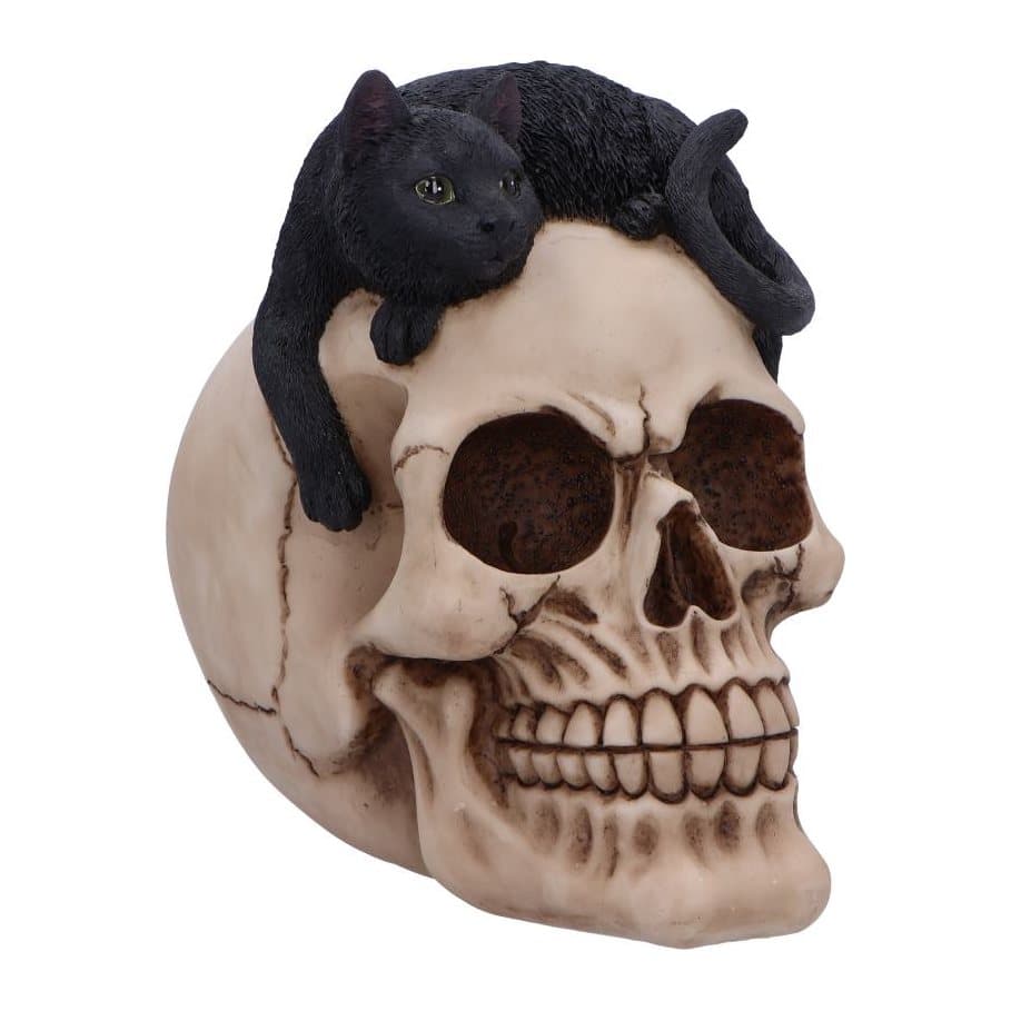 Bone-coloured skull figurine with a green-eyed black cat perched on top
