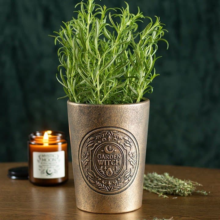 Bronze-effect terracotta plant pot with a rustic Garden Witch design