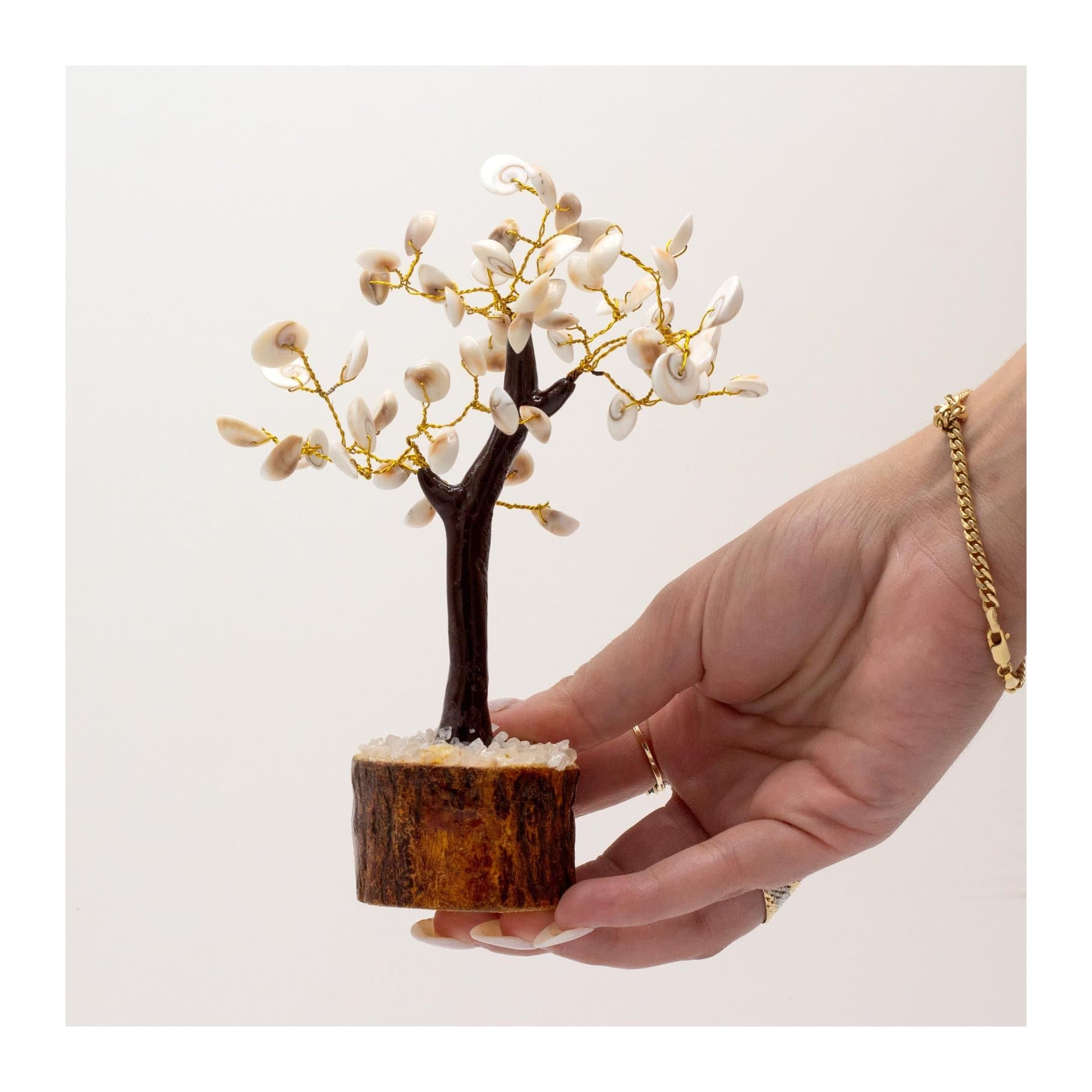 Small tree made of round gomati chakra stones with spiral markings