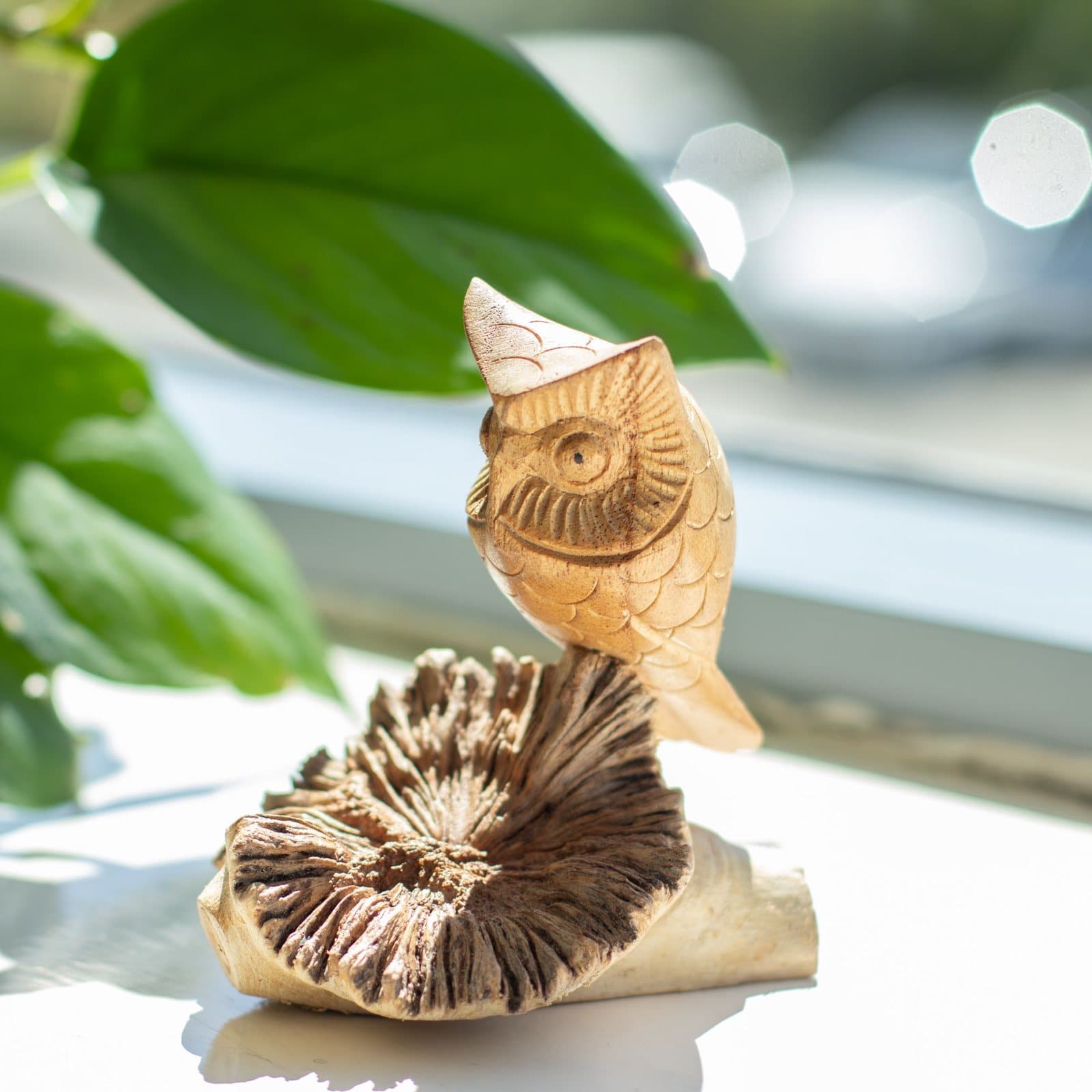 Hand-carved owl perched on a naturally shaped parasite wood base