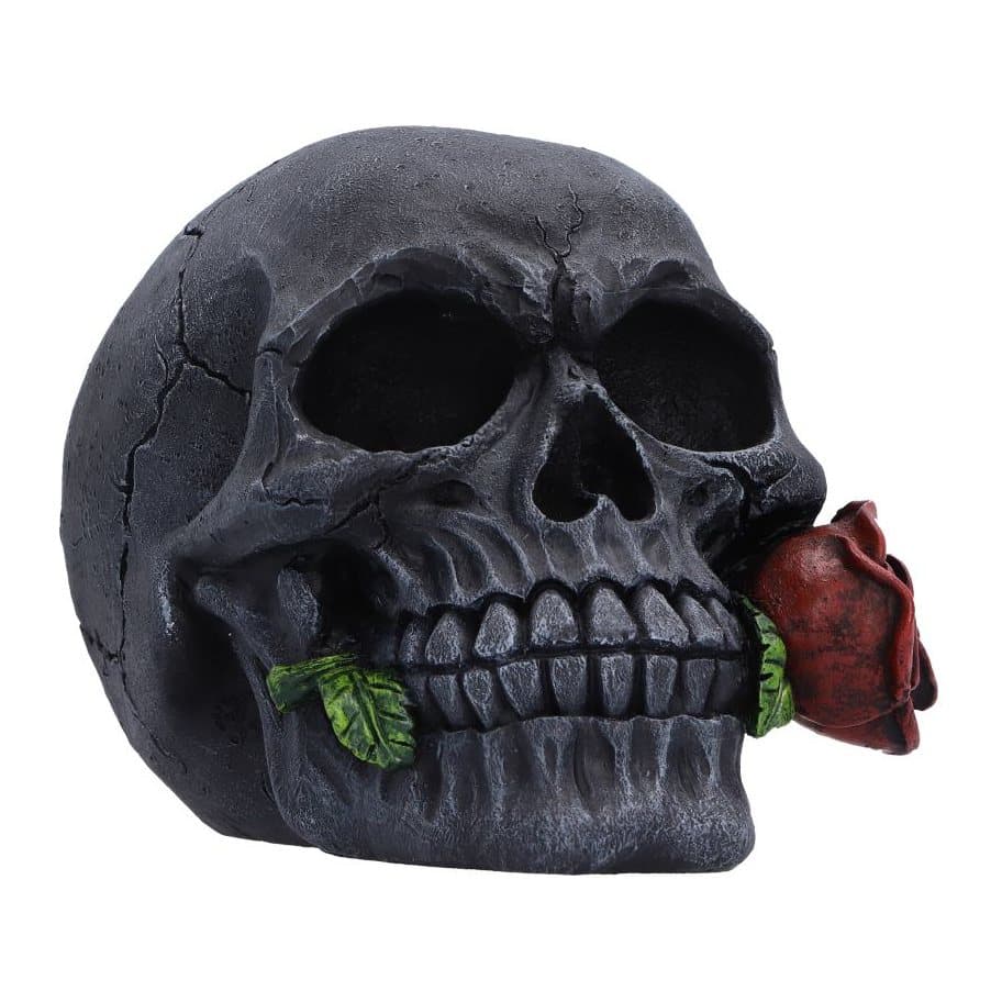 Two cracked black skull ornaments, each with a red rose in its jaw