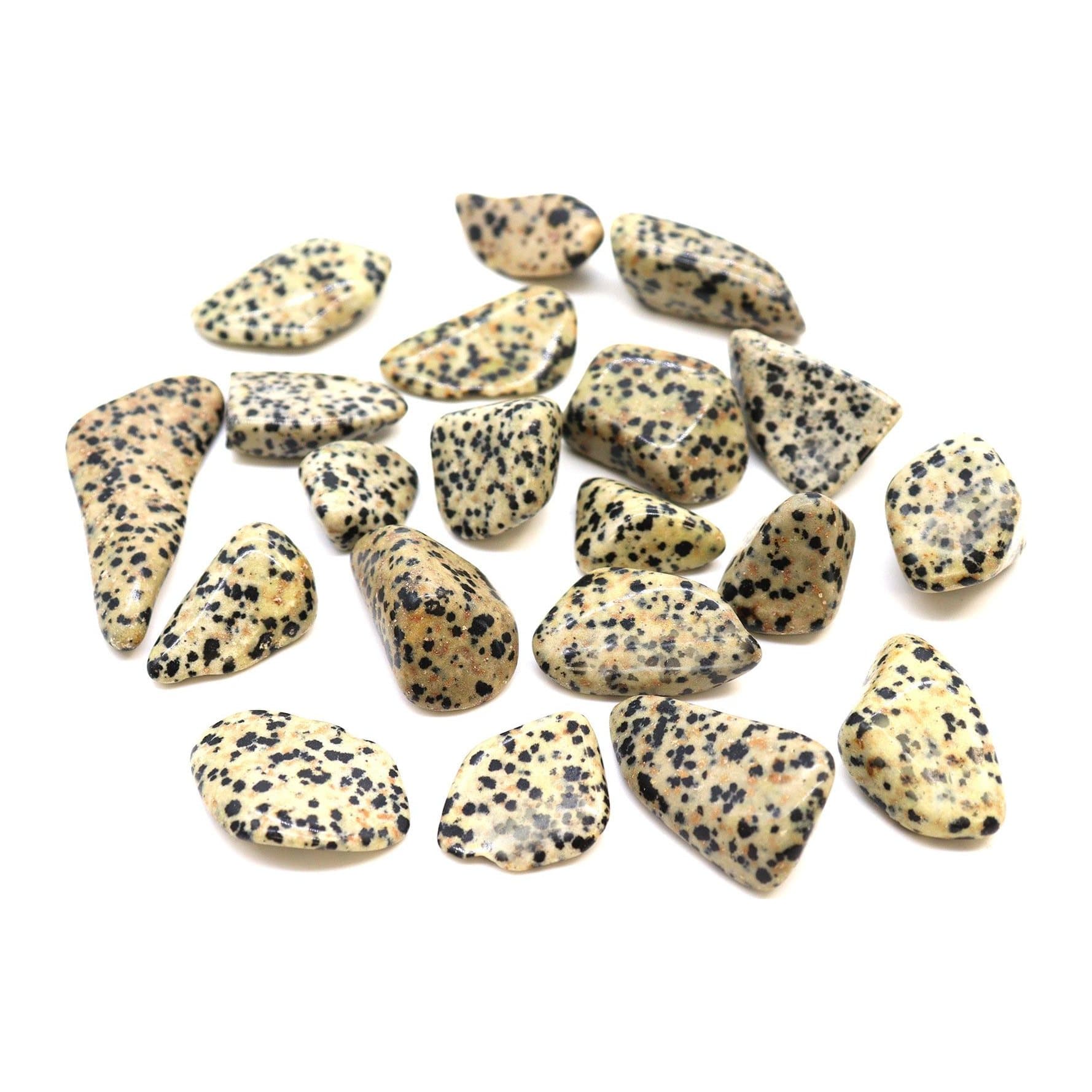 Polished dalmatian stone large tumble stones