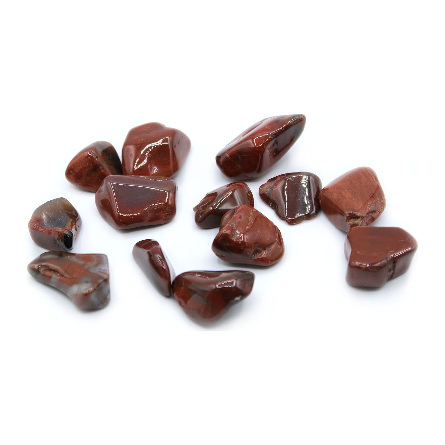 Polished petrified wood tumble stones