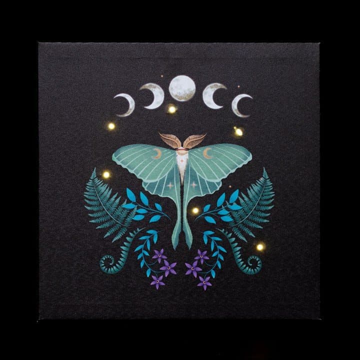 Luna moth illustration on a square light-up canvas plaque with LED lights