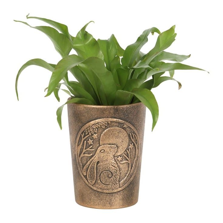 Terracotta plant pot with moon gazing hare artwork in bronze effect