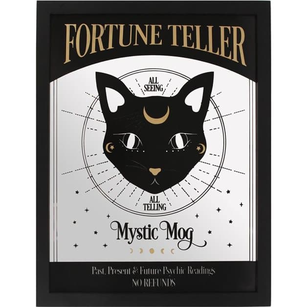 Mystic Mog mirrored wall hanging with black cat and fortune teller text