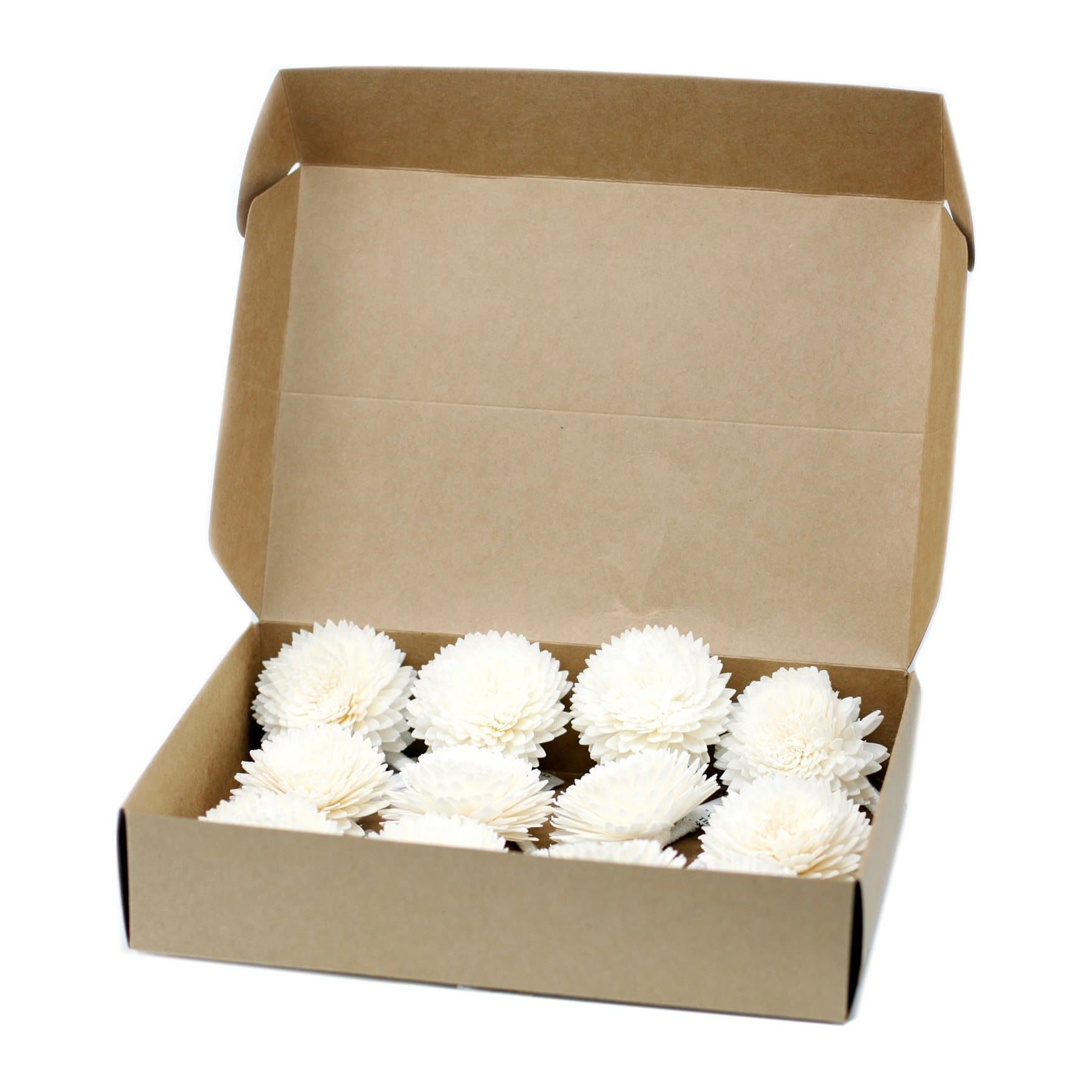 Four cream sola wood diffuser flowers, each on a cotton string
