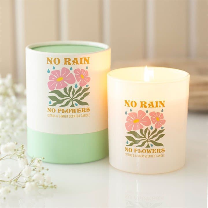 Retro Citrus & Ginger candle in glass