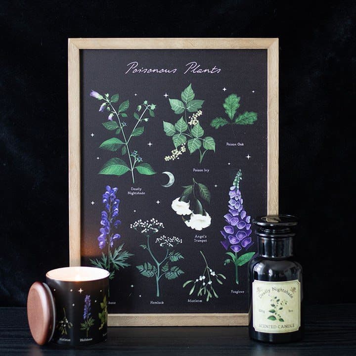 Wooden framed print of an intricate poisonous plants design