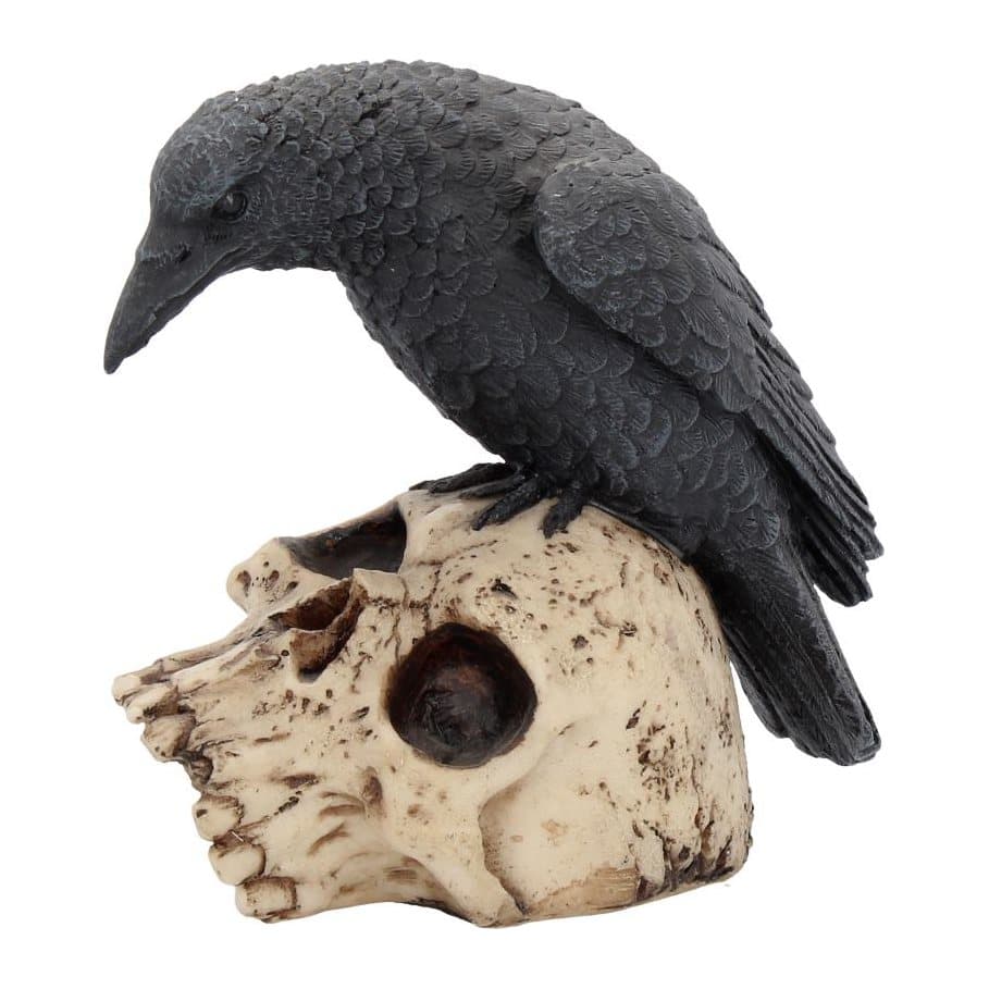 Black raven figurine perched on an aged human skull