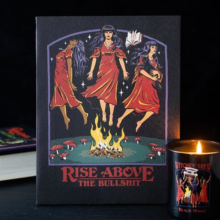 Rise Above the Bullshit stretched canvas plaque by Steven Rhodes