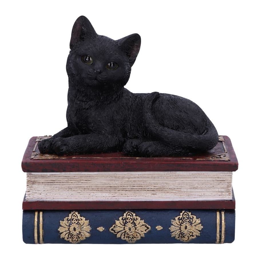 Black cat figurine lying on two stacked spellbooks