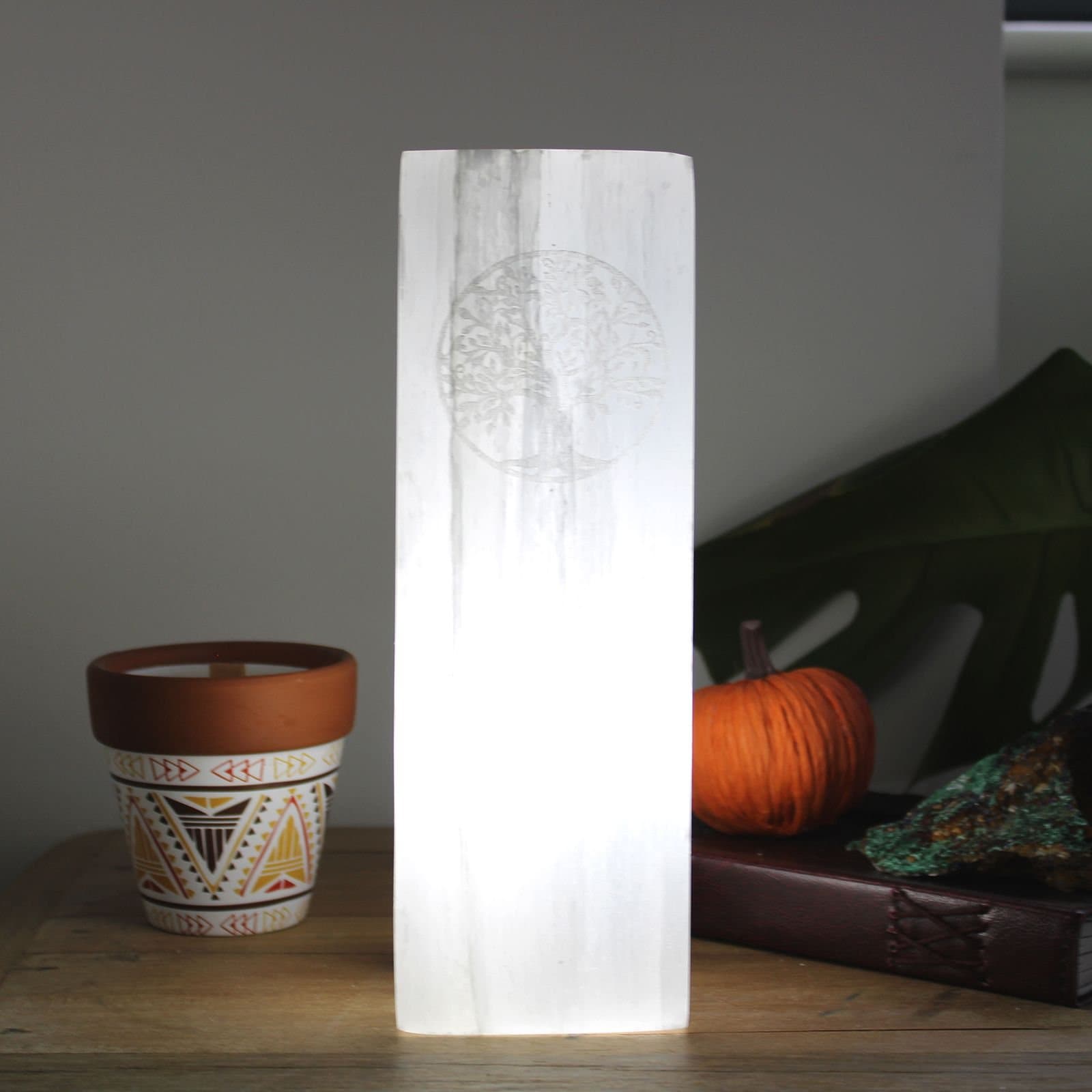 Selenite block lamp with a hand-decorated Tree of Life design