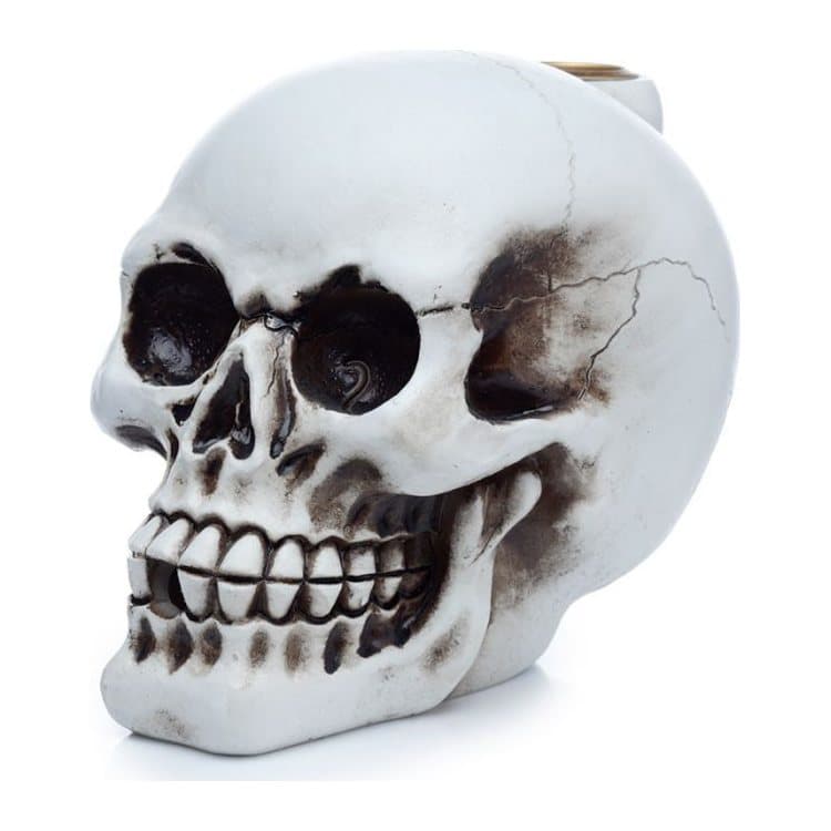Skull backflow incense burner in resin and metal