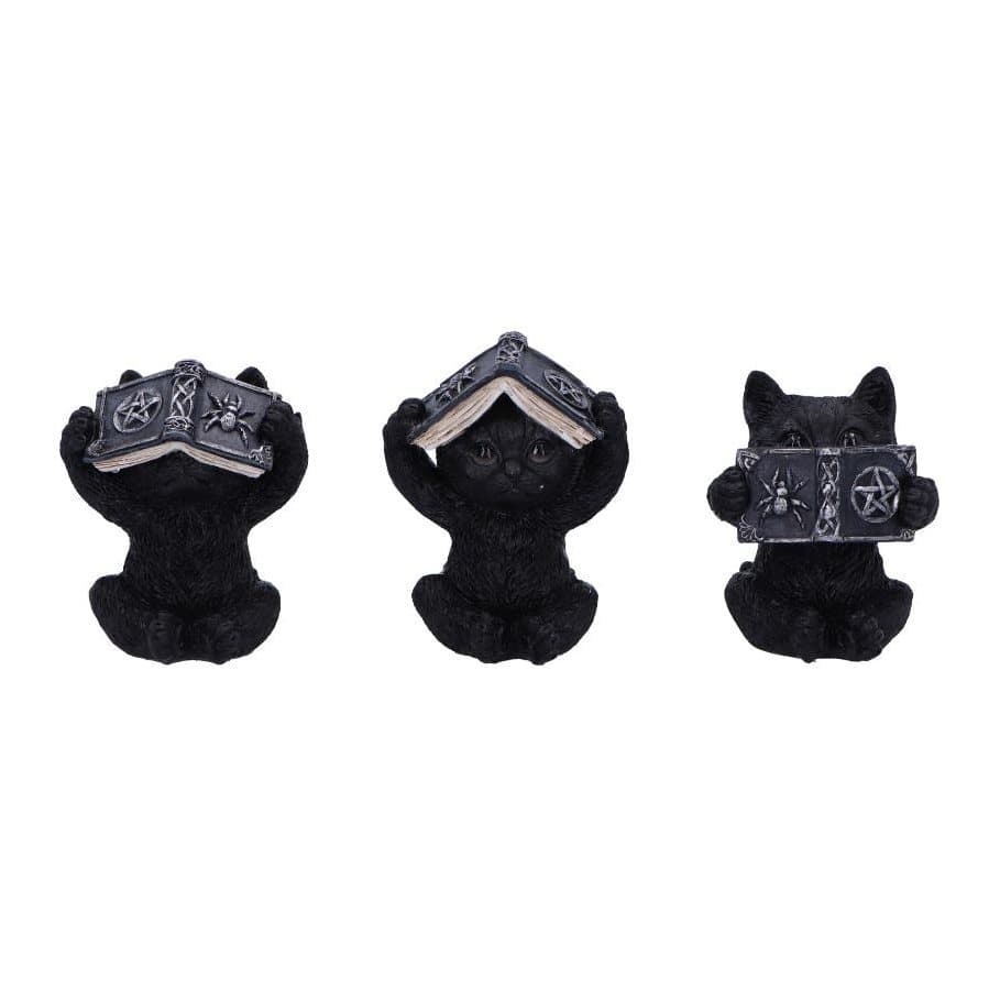 Three black kittens holding books covering eyes, ears and mouth